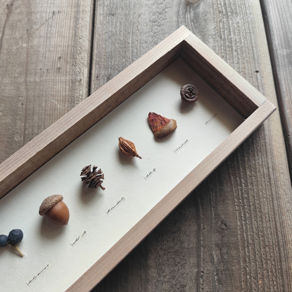 木の実のパネル